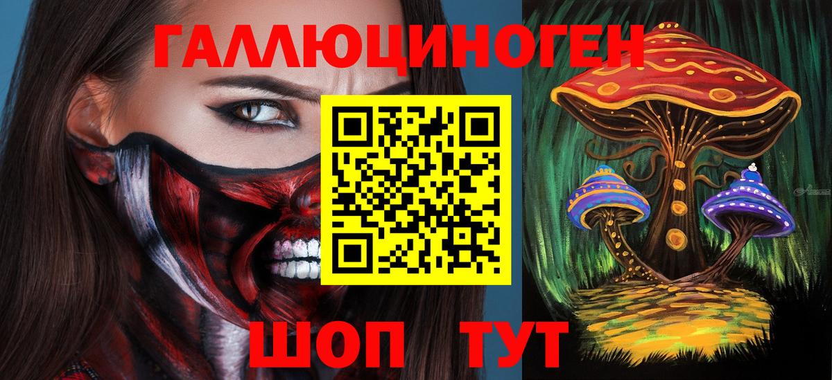 Галлюциногенные грибы Cubensis  Вход с VPN  Богородицк 